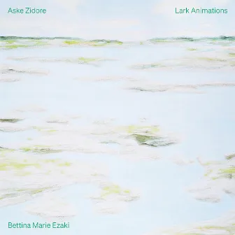 Lark Animations by Aske Zidore