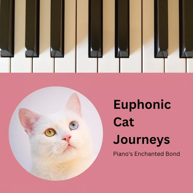 Euphonic Cat Journeys: Piano's Enchanted Bond