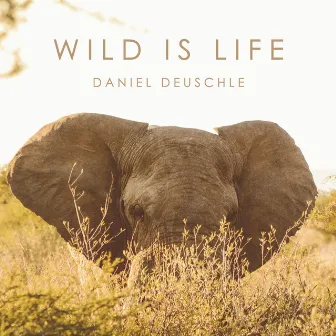 Wild Is Life by Daniel Deuschle