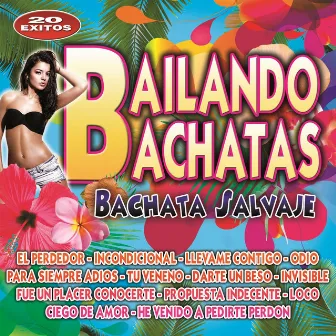 Bailando Bachatas by Unknown Artist