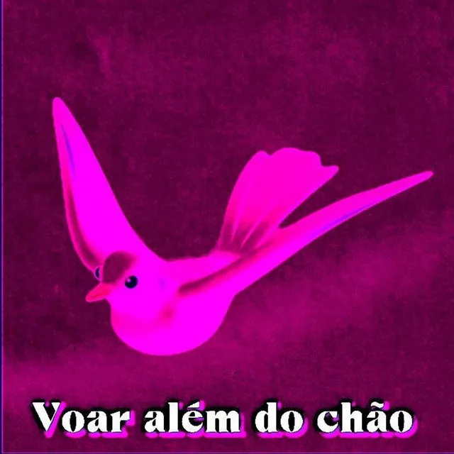 Voar Além Do Chão