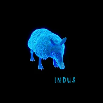 Noche Oscura by Indus