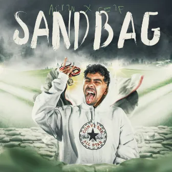 Sand Bag by Alvin