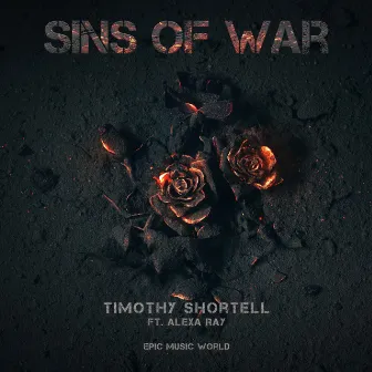 Sins of War by Timothy Shortell