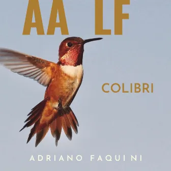 Colibri by Adriano Faquini