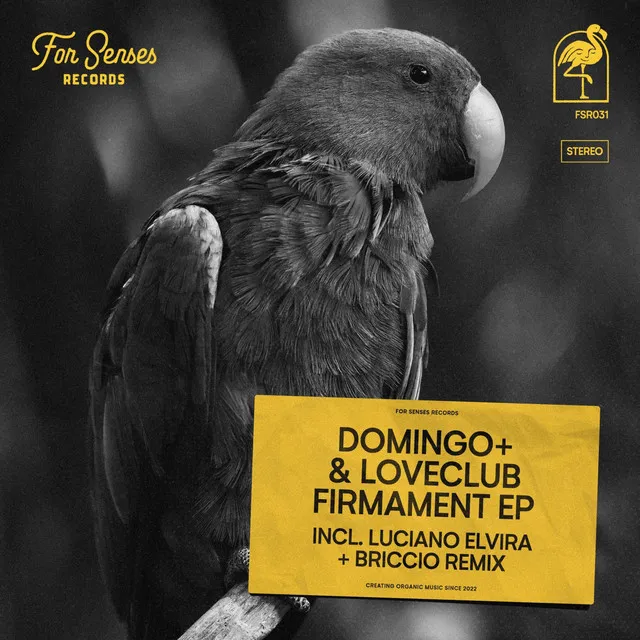 Firmament - BRICCIO Remix