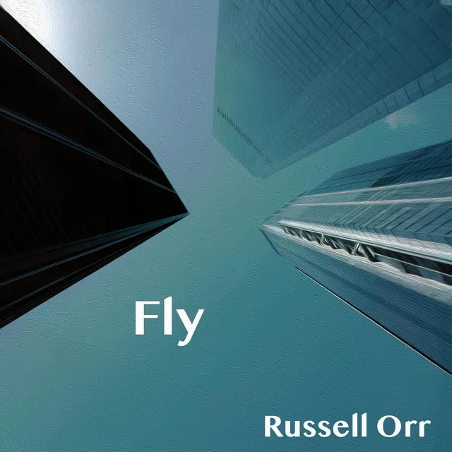 Fly