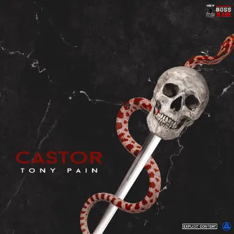 Castor by Tony Pain