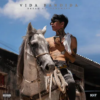 Vida Bandida by No Hard Feelings