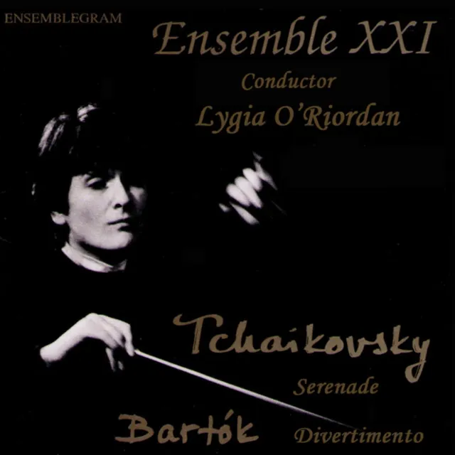 Serenade for String Orchestra, Op. 48: III. Elegia