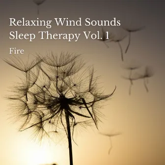 Fire: Relaxing Wind Sounds Sleep Therapy Vol. 1 by Unknown Artist