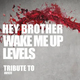 Hey Brother, Wake Me Up, Levels: Tribute to Avicii by DJ Kee