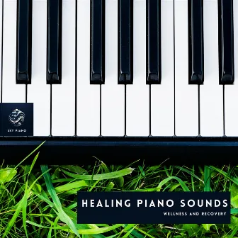 Healing Piano Sounds: Wellness and Recovery by Sky Piano