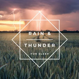 Rain & Thunder for Sleep by Unknown Artist