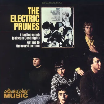 I Had Too Much To Dream (Last Night) by The Electric Prunes