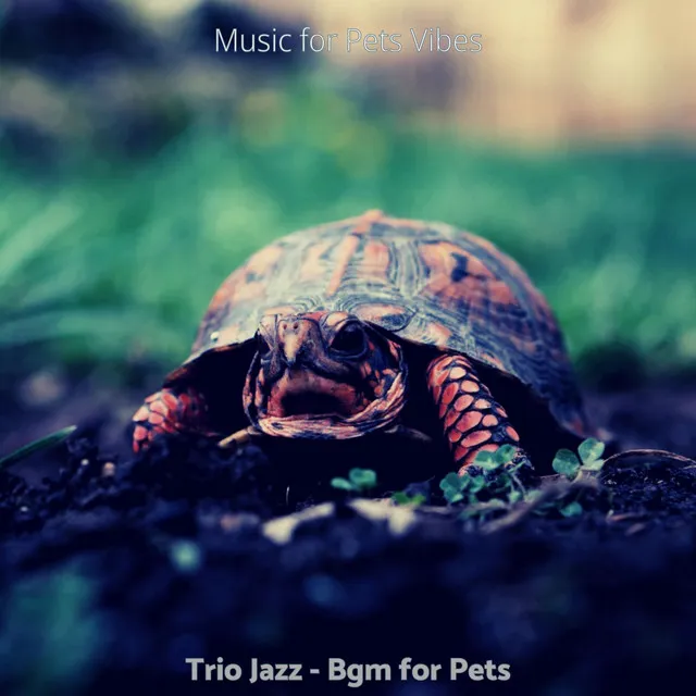 Trio Jazz - Bgm for Pets