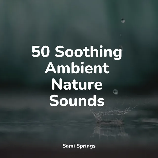 50 Soothing Ambient Nature Sounds