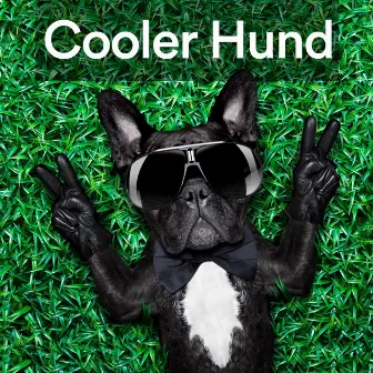 Cooler Hund by Beruhigende Musik für Hunde