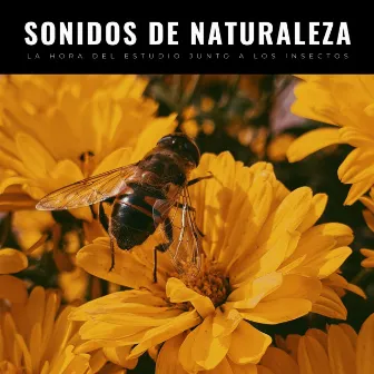 Sonidos De Naturaleza: La Hora Del Estudio Junto A Los Insectos by Música pura de estudio