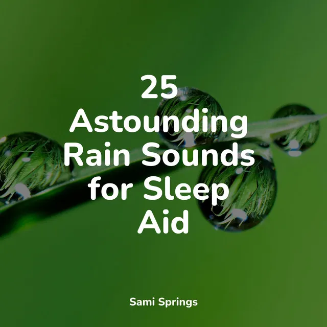 25 Astounding Rain Sounds for Sleep Aid