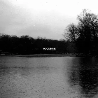 WOODBINE by Lilith Is Gone