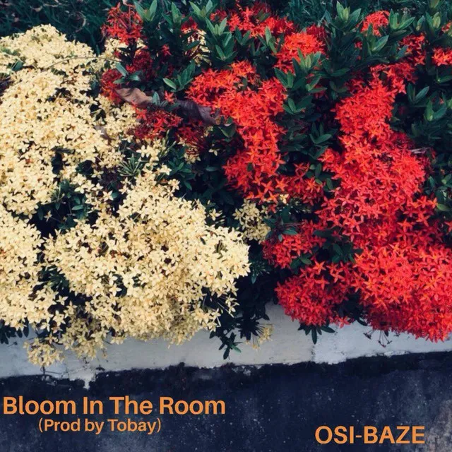 Bloom in the Room