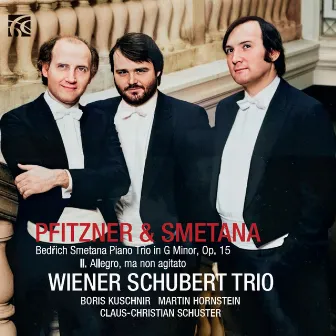 Piano Trio in G Minor, Op. 15: II. Allegro, man non agitato (Live) by Wiener Schubert Trio