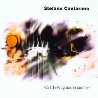 Walk in Progress by Stefano Cantarano