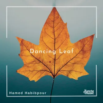 Dancing Leaf by Hamed Habibpour