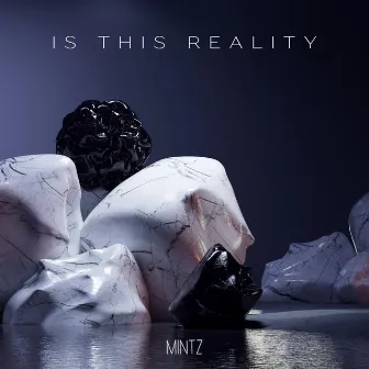 Is This Reality by Mintz