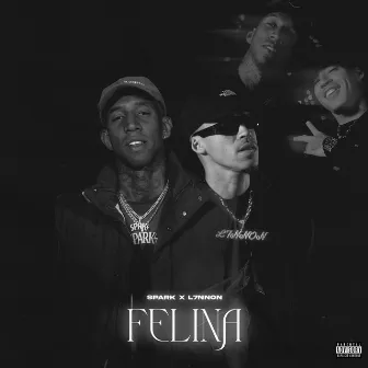 Felina by Spark Trap