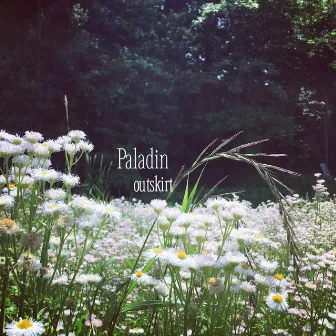 Paladin by Outskirt