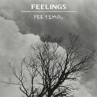 Feelings by PertiMol