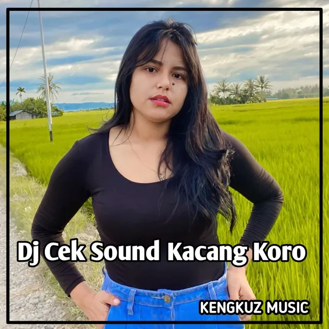 Dj Cek Sound Kacang Koro