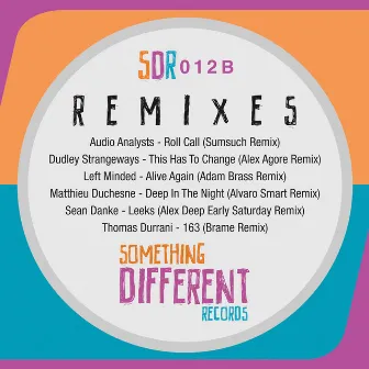 Remixes EP by Sean Danke