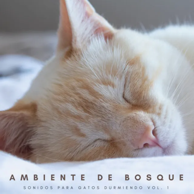 Ambiente De Bosque: Sonidos Para Gatos Durmiendo Vol. 1