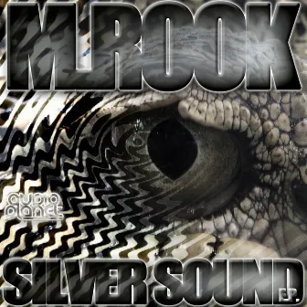 Silver Sound EP by M.Rook