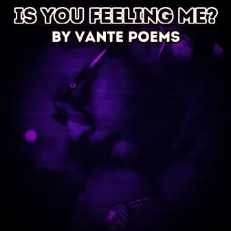 Is You Feeling Me? by Vante Poems