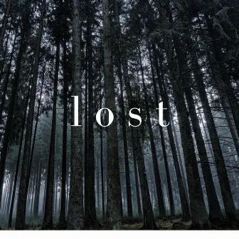 Lost by Flippin' Beats