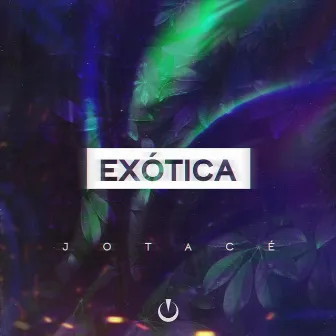 Exótica by Jotacé