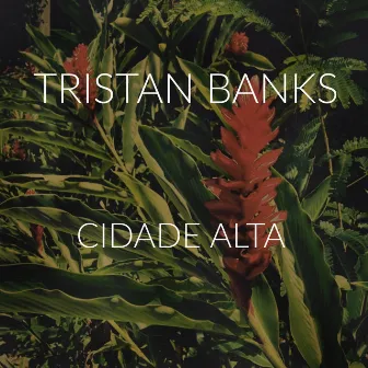 Cidade Alta by Tristan Banks