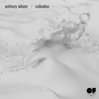 Collodion by Anthony Wilson