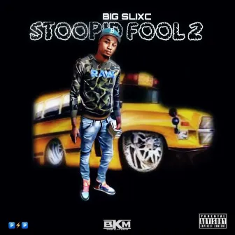 STOOPID FOOLS 2 by Big Slixc