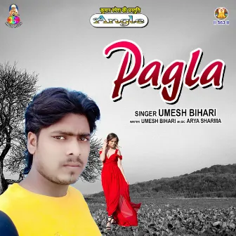 Pagla by Umesh Bihari