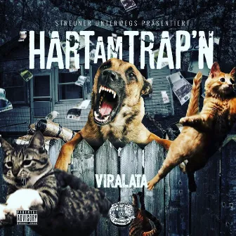 Hart am Trap'n by Vira Lata