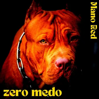 Zero Medo by Safir Beats