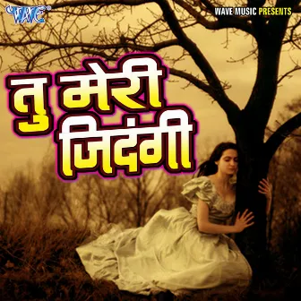 Tu Meri Jindagi by Unknown Artist