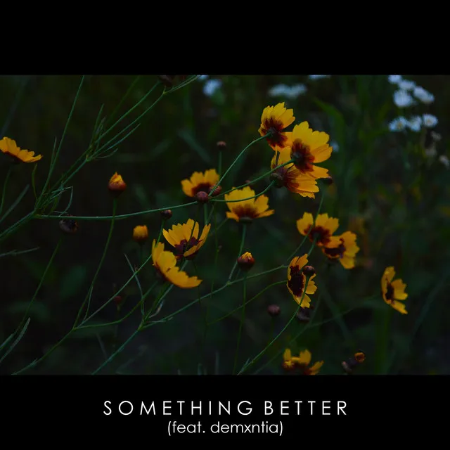 Something Better