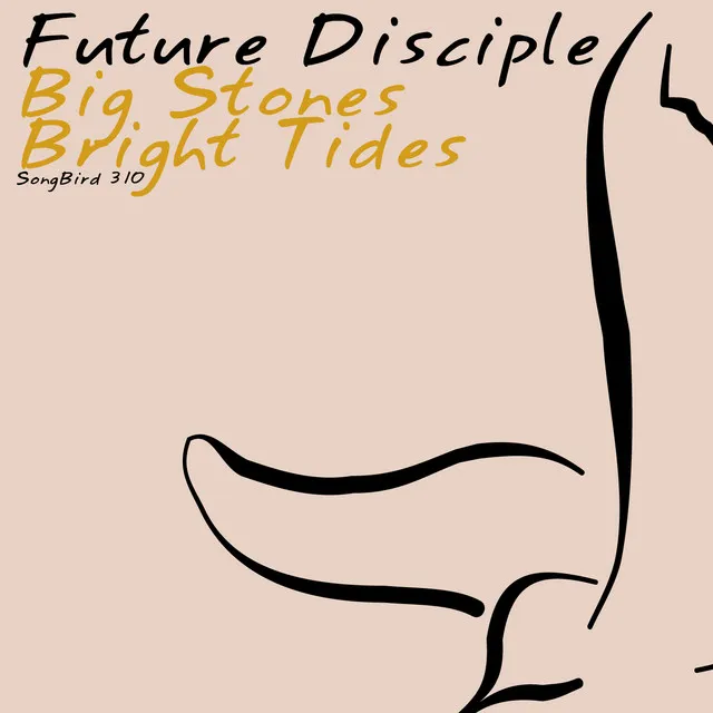 Big Stones / Bright Tides