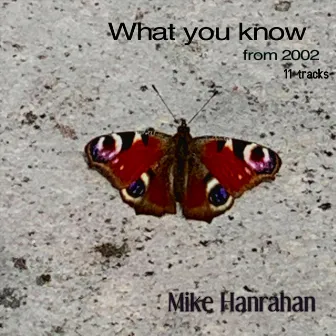 What You Know by Mike Hanrahan